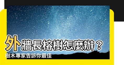 牆壁長樹處理|【牆上長樹與風水】牆壁長樹該找誰處理 